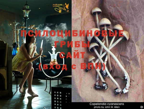 не бодяженный Арсеньев