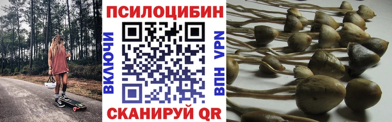 Галлюциногенные грибы Psilocybe Старый Крым